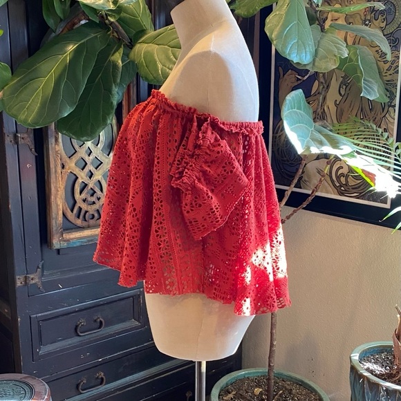 Free People Eyelet off shoulder crop peasant top in rust - Picture 8 of 15